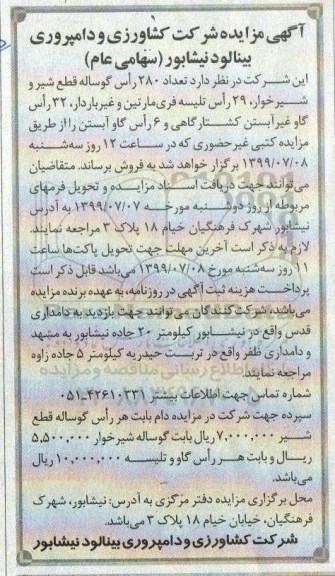 مزایده , مزایده تعدادی گوساله قطع شیر و شیرخوارمزایده تعداد 280 راس گوساله قطع شیر ...