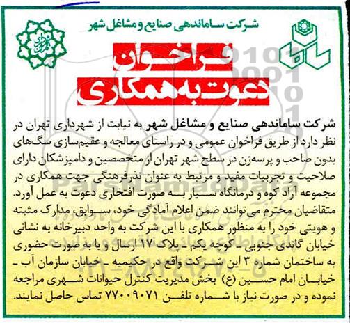 فراخوان، فراخوان معالجه و عقیم سازی سگ های بدون صاحب و پرسه زن در سطح شهر 