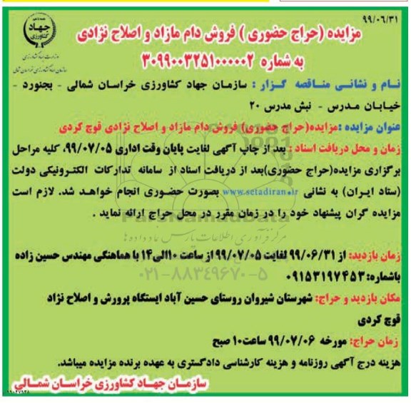 مزایده , مزایده (حراج حضوری) فروش دام مازاد و اصلاح نژادی قوچ کردی