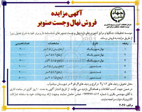 مزایده ، مزایده فروش نهال و جست صنوبر