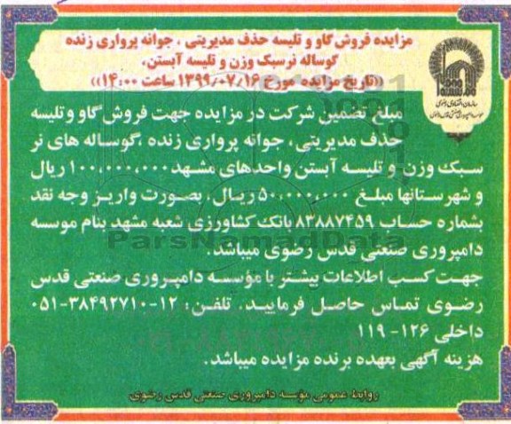 آگهی مزایده , مزایده فروش گاو و تلیسه حذف مدیریتی