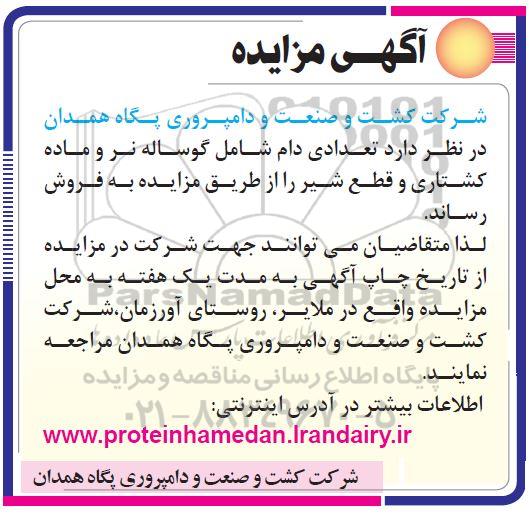 آگهی مزایده , مزایده تعدادی دام شامل گوساله نر و ماده 