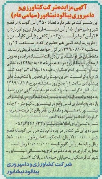 مزایده , مزایده تعداد 450 راس گوساله نر قطع شیر