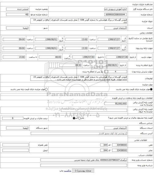 فروش گوساله نر بزرگ هولشتاین به شماره گوش 038 ( محل بازدید هنرستان کشاورزی ) واقع در کیلومتر 15 جاد