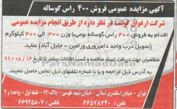مزایده،مزایده فروش 400 راس گوساله