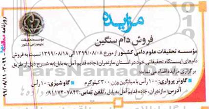 مزایده فروش دام سنگین 