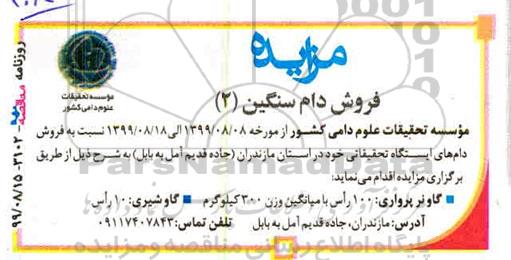 مزایده فروش دام سنگین 