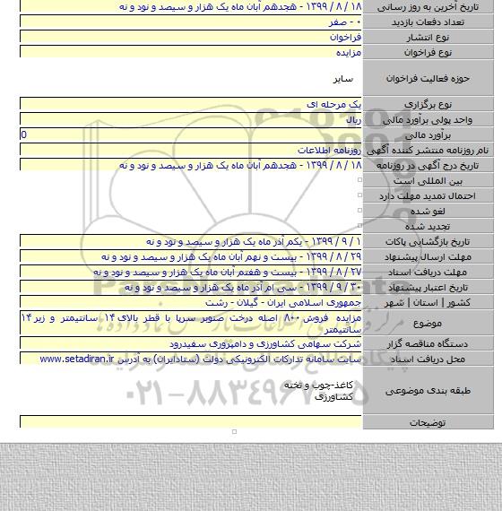 مزایده فروش ۸۰۰ اصله درخت صنوبر سرپا با قطر بالای ۱۴ سانتیمتر و زیر ۱۴ سانتیمتر
