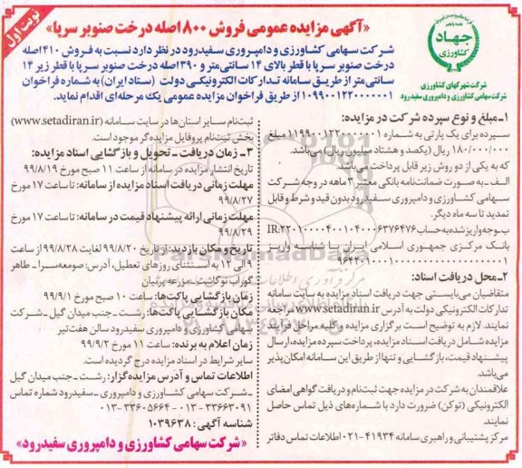 آگهی مزایده عمومی , مزایده فروش 800 اصله درخت صنوبر سرپا 