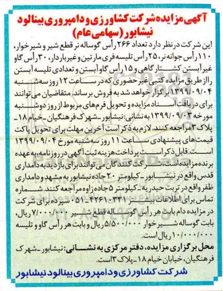 مزایده , مزایده فروش تعداد 266 راس گوساله نر قطع شیر و شیرخوار
