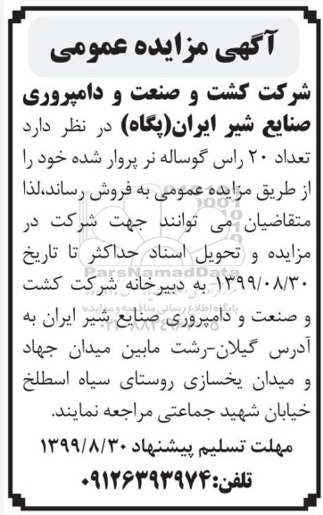 مزایده، مزایده تعداد 20 راس گوساله نر