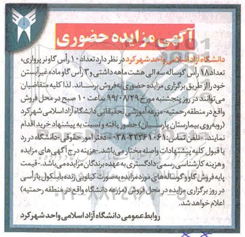 مزایده تعداد 10 راس گاو نر پرواری، تعداد 18 راس گوساله