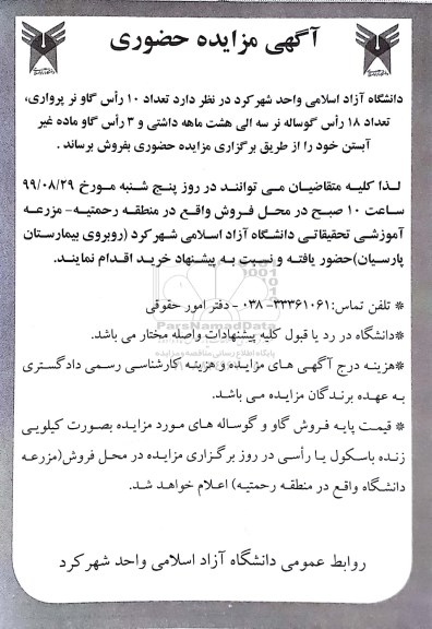 مزایده تعداد 10 راس گاو نر پرواری، تعداد 18 راس گوساله
