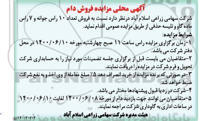 مزایده،مزایده فروش تعداد 10 راس جوانه و 7 راس ماده گاو...