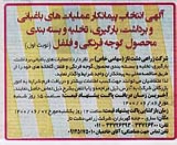 مناقصه،مناقصه عملیات های باغبانی برداشت بارگیری تخلیه و بسته بندی محصول گوجه فرنگی و فلفل