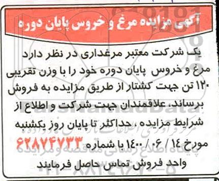 مزایده،مزایده مرغ و خروس