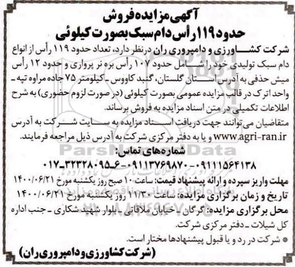 مزایده،مزایده فروش حدود 119 راس دام سبک به صورت کیلویی