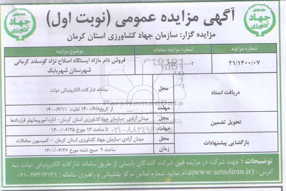 مزایده فروش دام ایستگاه اصلاح نژاد گوسفند کرمانی