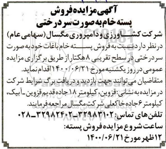 مزایده فروش پسته خام به صورت سردرختی