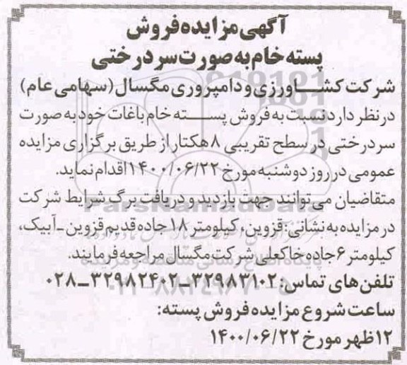 مزایده فروش پسته خام به صورت سردرختی