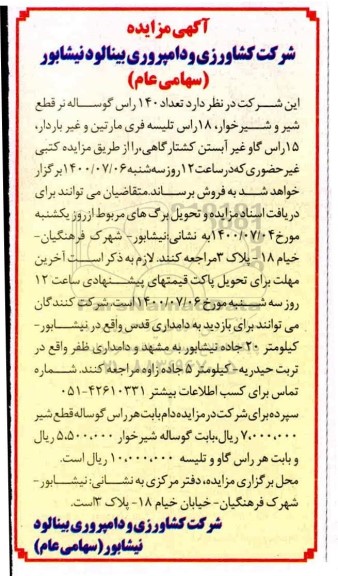 آگهی مزایده , مزایده فروش تعداد ۱۴۰ و از گوساله قطع شیر و شیرخوار ۱۸ راس تلیسه فری مارتین