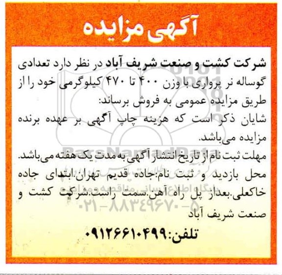 مزایده، مزایده فروش تعدادی گوساله نر پرواری
