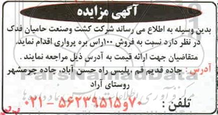 مزایده،مزایده فروش 100 راس بره پرواری