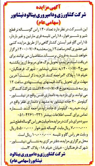 آگهی مزایده , مزایده فروش تعداد 140 و از گوساله قطع شیر و شیرخوار 18 راس تلیسه فری مارتین- 1400.6.30