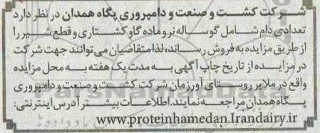 مزایده تعدادی دام