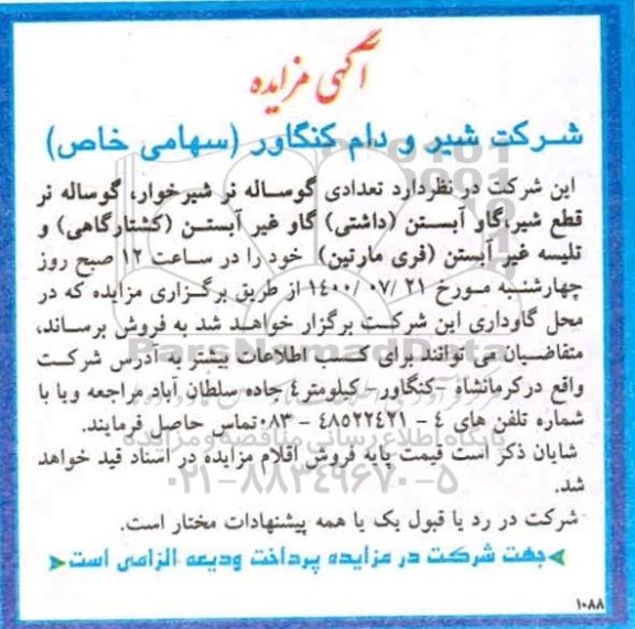 مزایده، مزایده تعدادی گوساله نر شیرخوار...
