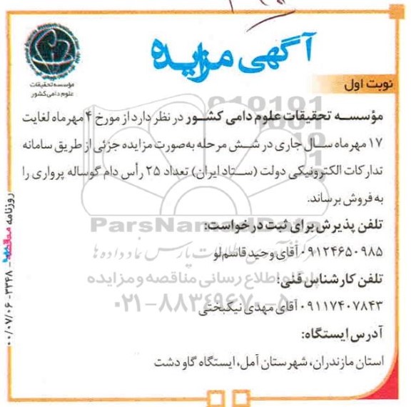 مزایده فروش تعداد 15 راس دام گوساله پرواری