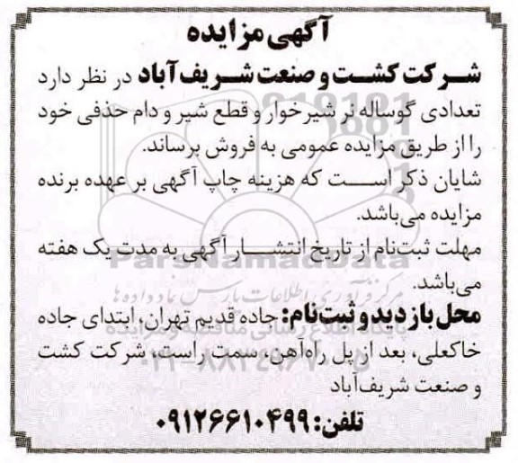 مزایده تعدادی گوساله نر شیرخوار ...
