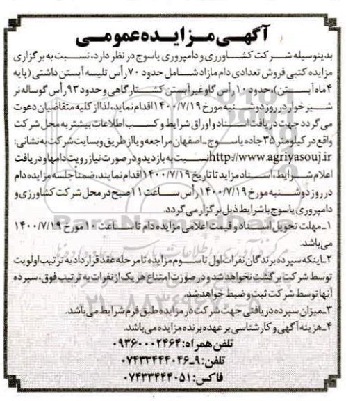 مزایده،مزایده فروش تعدادی دام مازاد