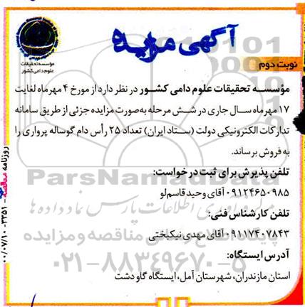 مزایده فروش تعداد 25 راس دام گوساله پرواری نوبت دوم 