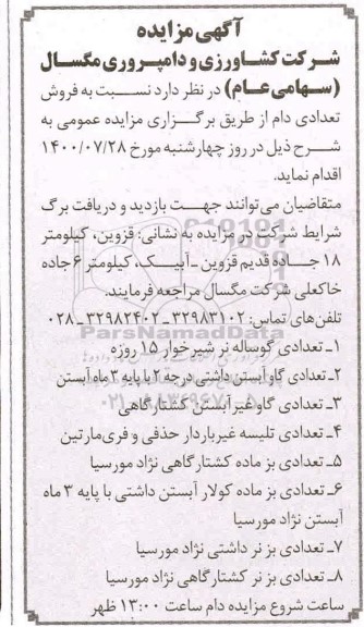 مزایده فروش تعدادی دام
