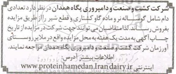 مزایده، مزایده تعدادی دام