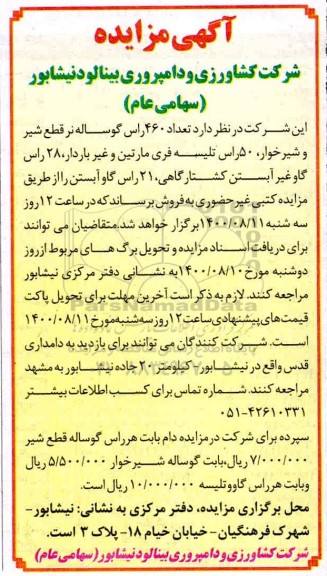 مزایده تعداد 460 راس گوساله نر قطع شیر ...