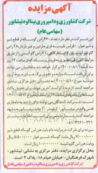 مزایده تعداد 460 راس گوساله نر قطع شیر ...