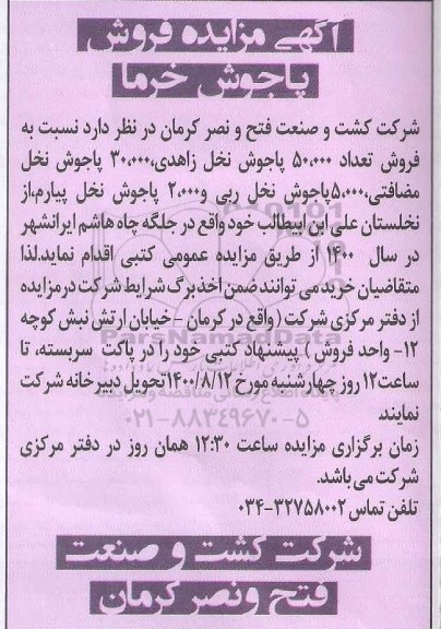 مزایده فروش پاجوش خرما