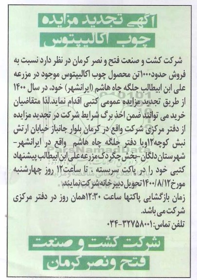 مزایده چوب اکالیپتوس تجدید