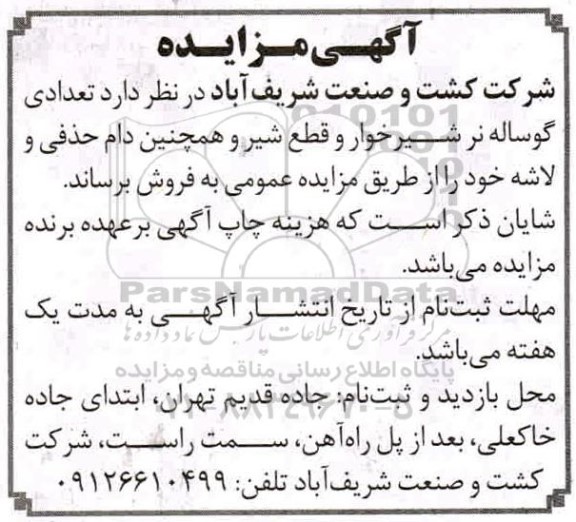 مزایده تعدادی گوساله نر شیرخوار ...