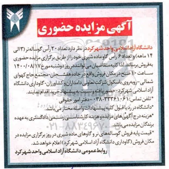مزایده، مزایده حضوری فروش تعداد 20 راس گوساله نر ...