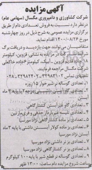 مزایده فروش تعدادی دام