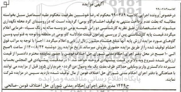 مزایده مزایده دو راس تلیسه بومی