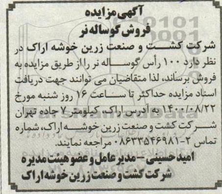 مزایده فروش 100 راس گوساله نر 