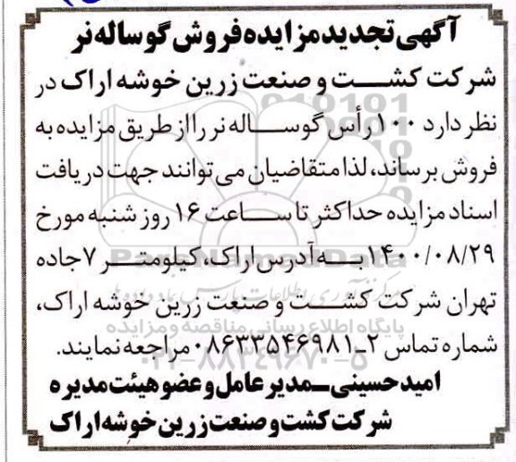 تجدید مزایده فروش گوساله نر