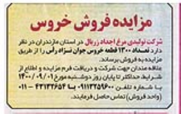 مزایده فروش خروس