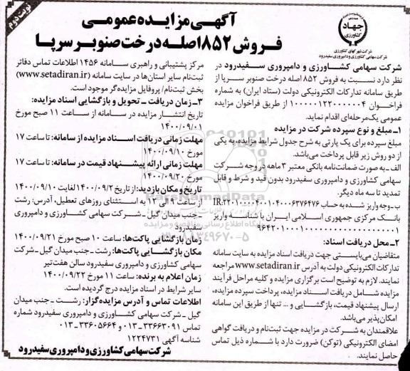 مزایده فروش 1852 اصله درخت صنوبر سرپا - نوبت دوم