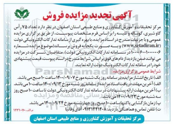 مزایده تعداد 75 راس گاو شیری، گوساله و تلیسه - تجدید
