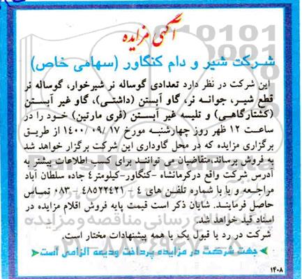 مزایده تعدادی گوساله نر شیرخوار...